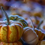 New Month, New Goals | October 2020